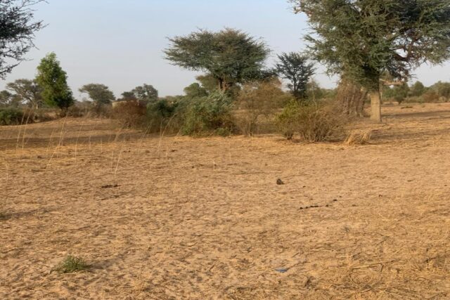 Protégé : Terrain de 1,25 hectare vers Tassette