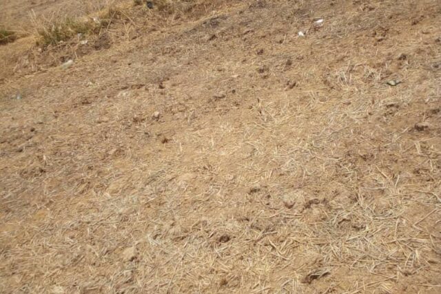 Location d’un Terrain Agricole de 40 hectares vers Ronkh