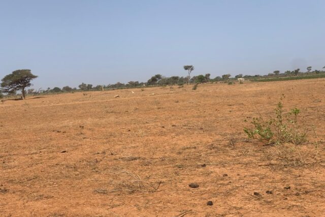 Terrain de 1,30 hectare vers Notto Diobass