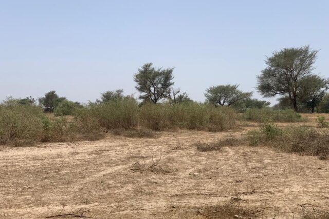 Terrain de 2,09 hectares vers Notto Diobass