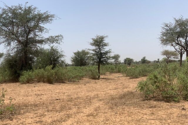 Terrain de 5,27 hectares vers Notto Diobass