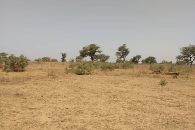 Terrain de 2,47 hectares vers Sindia