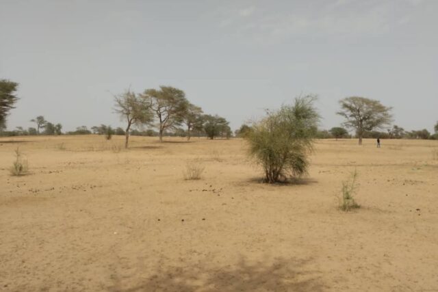 Protégé : Terrain de 2,62 hectares vers Baba Garage