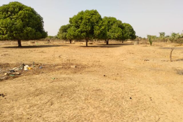 Verger de 7055 m² vers Tataguine