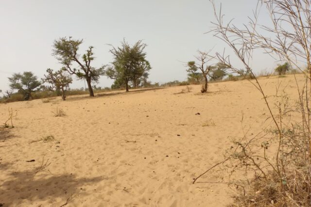 Terrain de 1,27 hectare vers Sindia