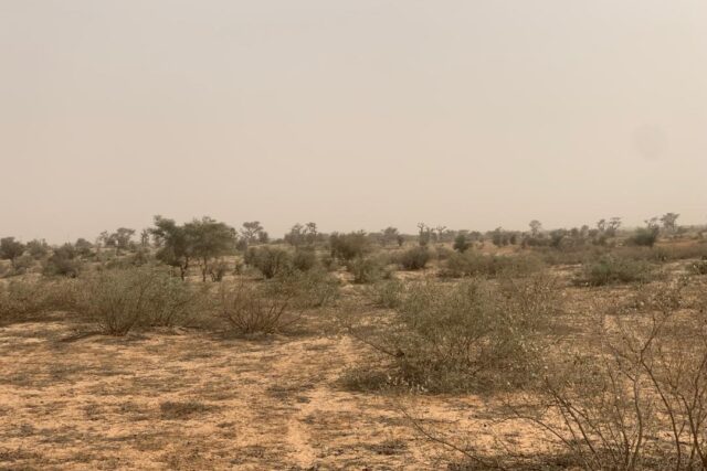 Protégé : Terrain de 1,49 hectare à Kébémer