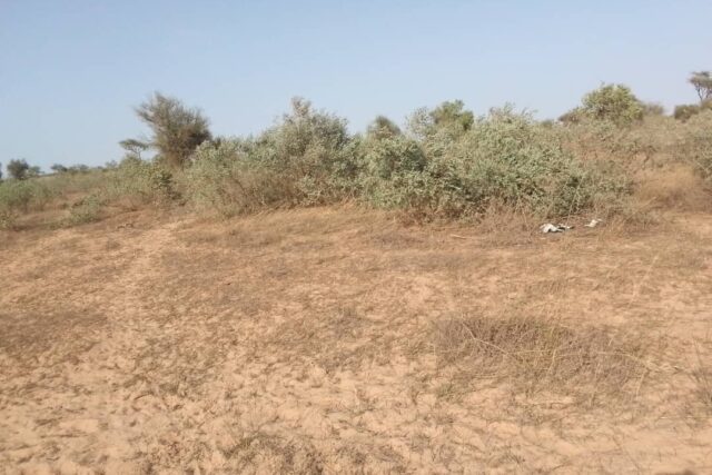 Protégé : Terrain de 6112 m² vers Thiénaba