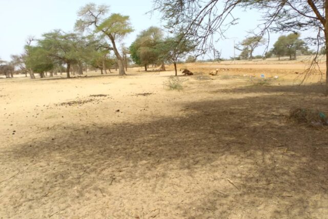 Terrain de 4356 m² vers Baba Garage