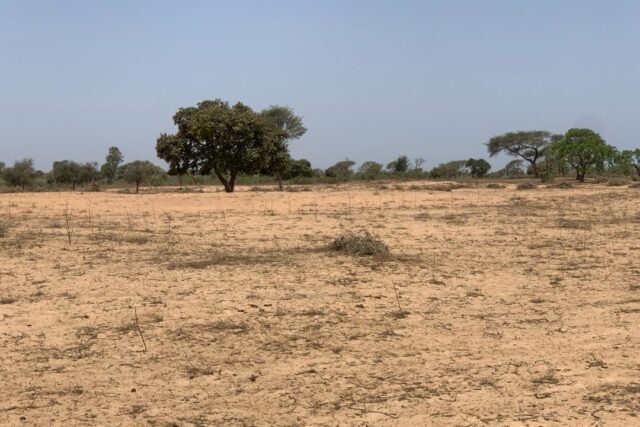 Terrain de 23,94 hectares Vers Touba Toul