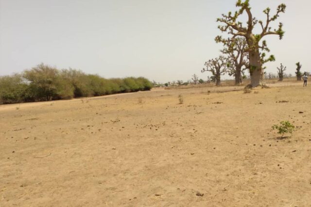 Terrain de 1,93 hectare vers Sindia