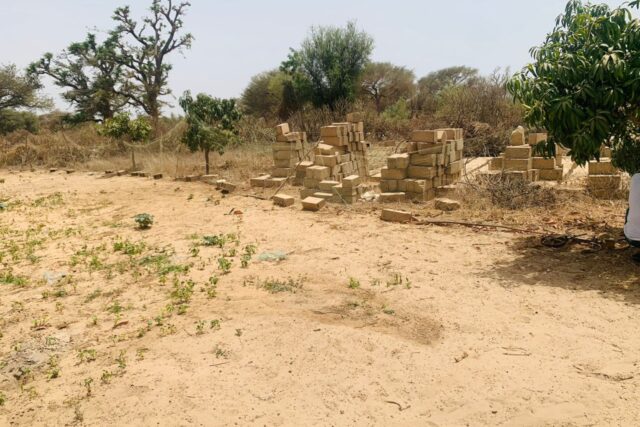 Verger de 1,18 hectare vers Notto Diobass