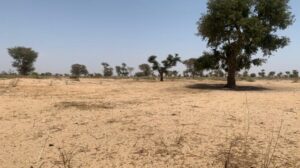 Terrain de 1 hectare vers Khombole