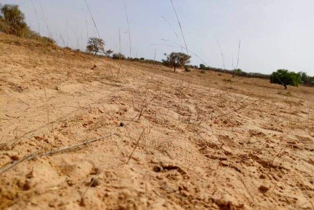 Terrain de 3,3 hectares vers Nguidila