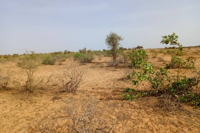Terrain de 6,8 hectares vers Nguidila