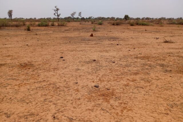 Terrain de 1,27 hectare vers Notto Diobass