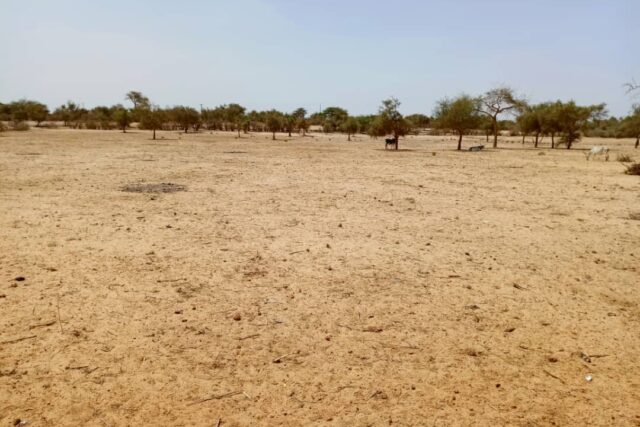 Terrain de 1,65 hectare  vers Diokoul Diawrigne