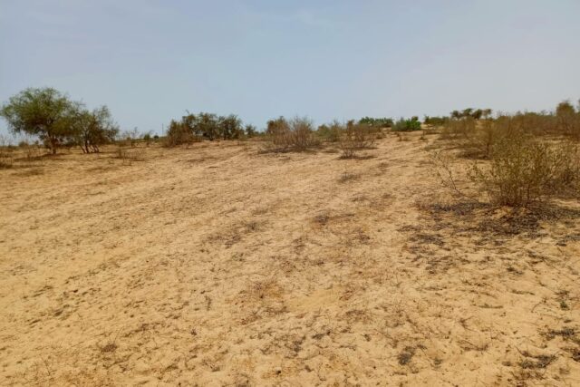 Terrain de 4,18 hectares vers Kébémer