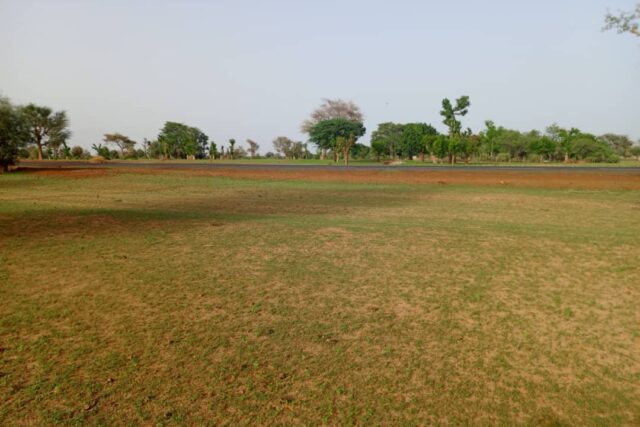 Protégé : Terrain de 2963 m² vers Diourbel