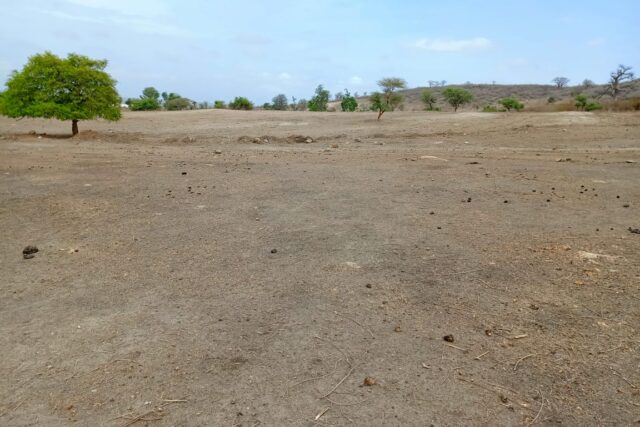 Terrain de 1,04 hectare vers Notto Diobass