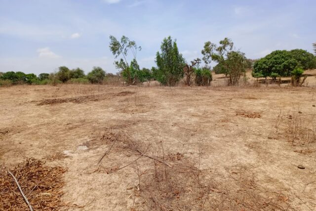 Terrain de 6751 m² vers Notto Diobass