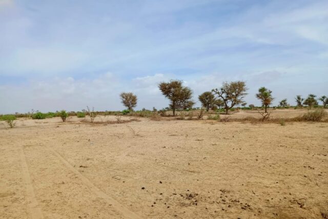 Terrain de 3,16 hectares vers Notto Diobass