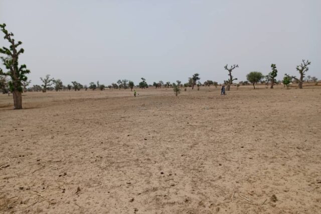 Protégé : Terrain de 1,25 hectare vers Touba Toul