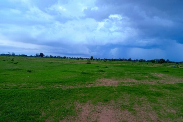 Location Terrain de 9,35 hectares vers Guinguinéo