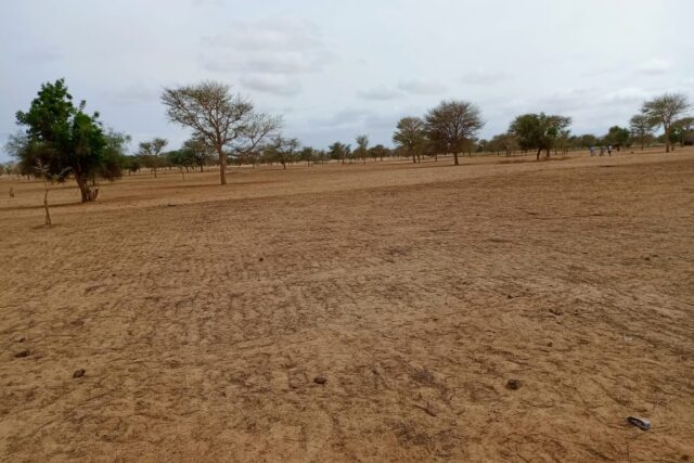 Terrain de 5,15 hectares vers Keur Samba Kane
