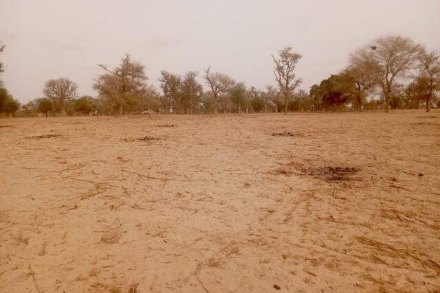 Terrain de 3,42 hectares vers Keur Samba Kane