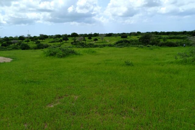 Verger de 2,03 hectares vers Darou Khoudoss