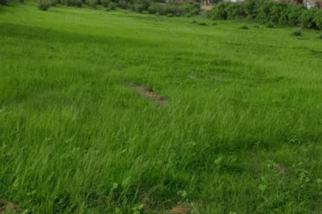 Protégé : Terrain de 1 hectare vers Notto Diobass