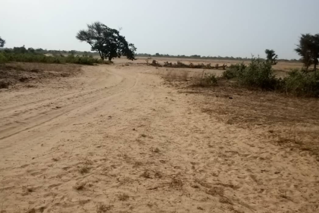 Terrain de 3 hectares vers Notto Diobass