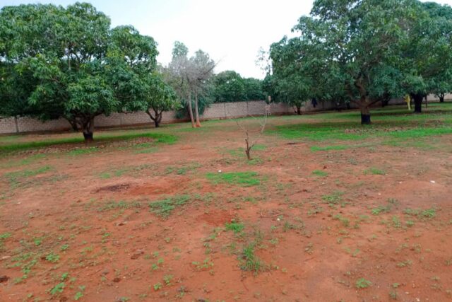 Verger de 1,11 hectare vers Keur Moussa