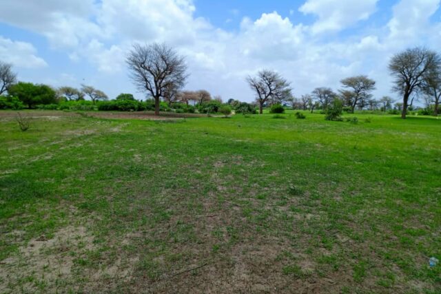 Protégé : Terrain de 5797 m² vers Notto Diobass