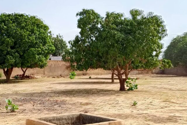 Exploitation agricole de 5000 m² vers Notto Diobass