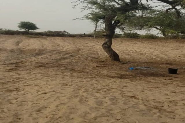 Location d’un Verger agricole de 2,50 hectares vers Mboro