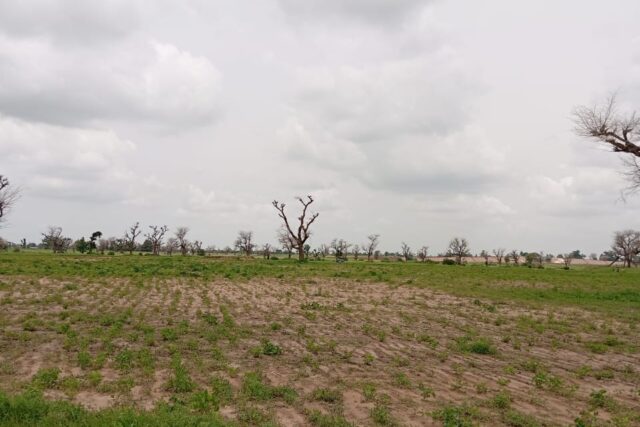 Terrain de 2 hectares vers Sandiara