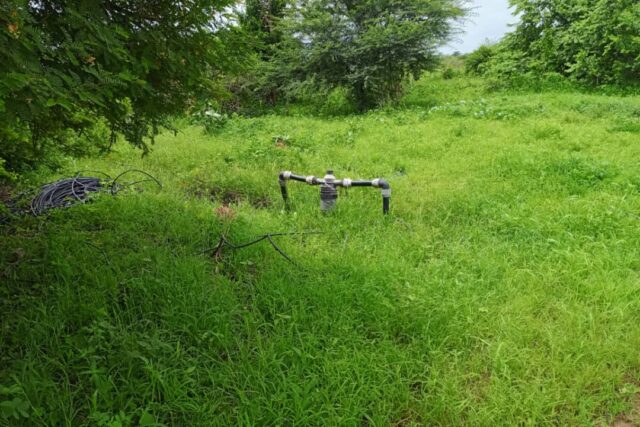 Exploitation agricole de 8,92 hectares vers Keur Moussa