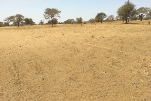 Terrain de 2,11 hectares vers Saghata