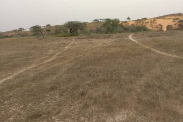 Terrain de 4567 m² vers Diokoul Diawrigne