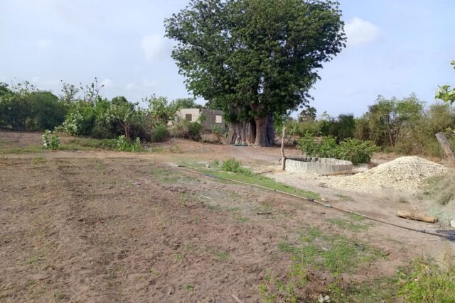 Terrain de 3 hectares vers Joal