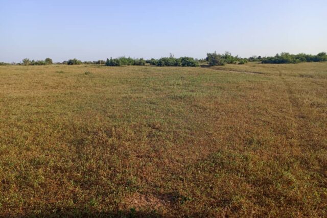 Protégé : Terrain de 20 hectares vers Tassette