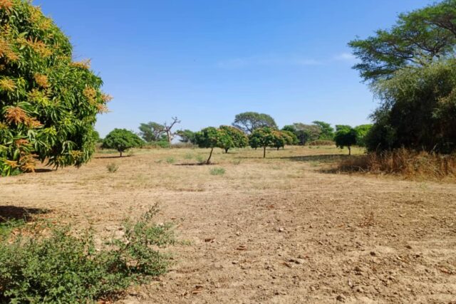 Protégé : Verger de 2,37 hectares vers Tassette