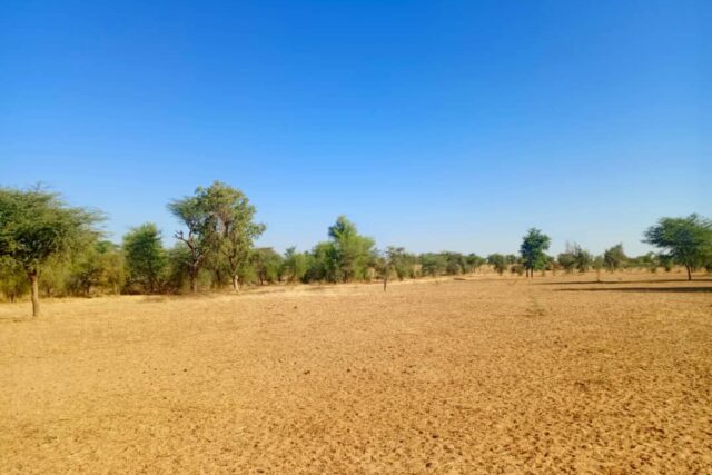 Protégé : Terrain de 1,71 hectare vers Mbadiane