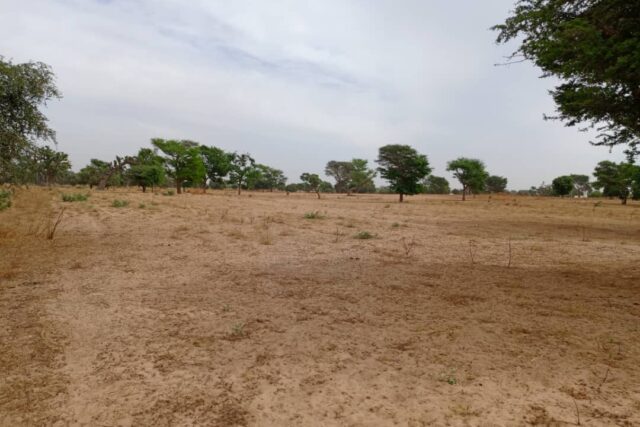 Protégé : Terrain de 1,54 hectare vers Tassette