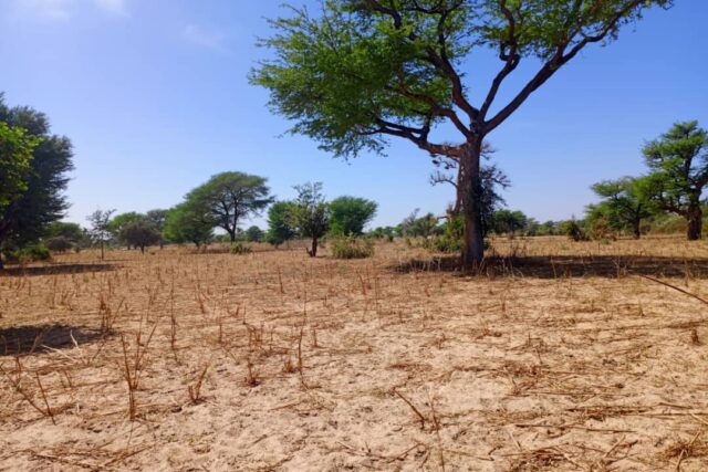 Terrain de 2,57 hectares vers Tassette