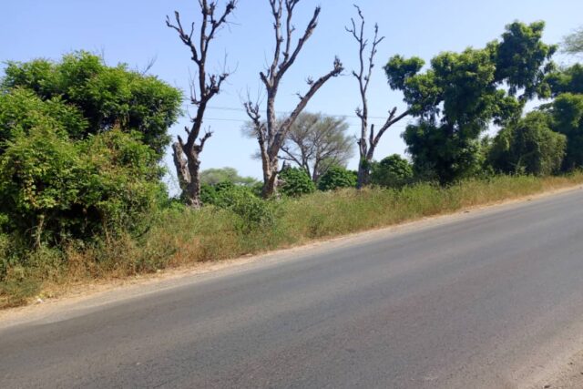 Terrain de 1 hectare vers Keur Madaro