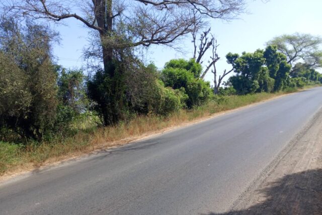 Terrain de 1,23 hectare vers Keur Madaro