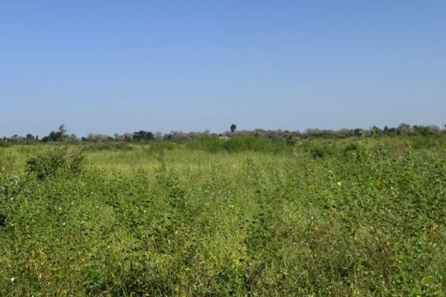 Terrain Agricole de 1,8 hectare vers Fissel