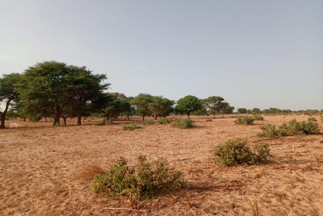 Terrain de 2,58 hectares vers Tassette